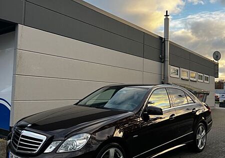 Mercedes-Benz E 220 CDI BlueEFFICIENCY AVANTGARDE Cupritbraun