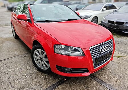 Audi A3 Cabriolet 1,6 Attraction Kimaautomatik