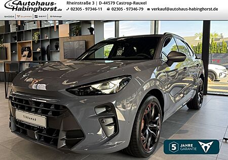 Cupra Terramar 2.0 TSI DSG 4Drive VZ Akebono Sennheise