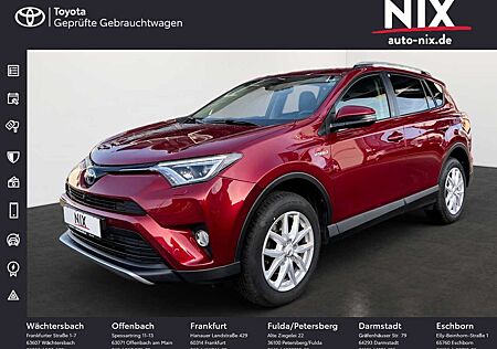 Toyota RAV 4 RAV4 2.5 4x2 Hybrid Team Deutschland