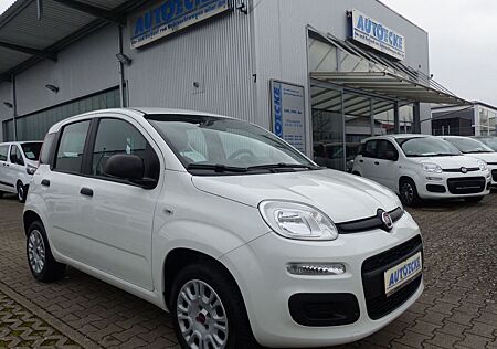 Fiat Panda Easy 1.2 KLIMA/1.Hand/Allwetterreifen
