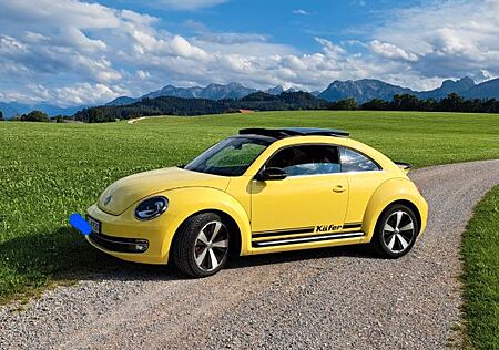 VW Beetle Volkswagen 2.0 TSI DSG BMT Sport Sport