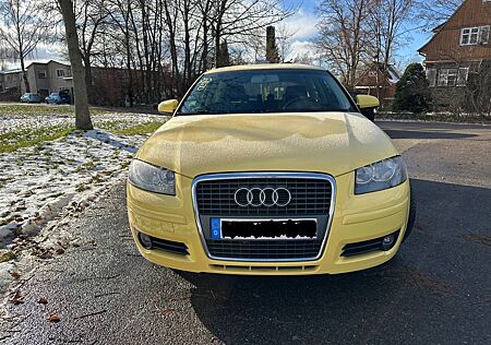Audi A3 1.6 Attraction STANDHZ., 8-fach bereift