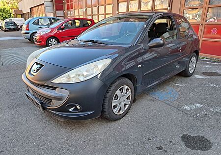 Peugeot 206 + Basis