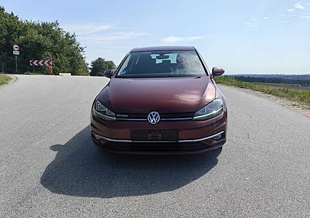 VW Golf Volkswagen VII Lim. Comfortline BlueMotion DSG