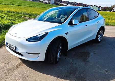 Tesla Model Y Long Range AWD, Matrix LED, ACC,