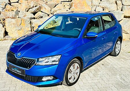 Skoda Fabia Active 1.Hand Scheckheft