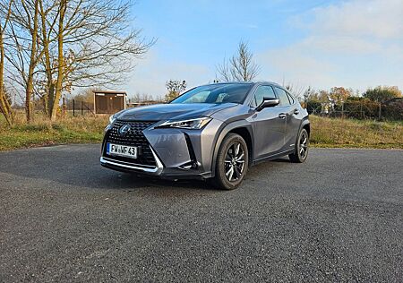 Lexus UX 250h Launch Edition 2019