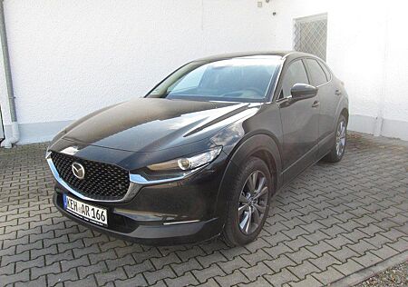 Mazda CX-30 2.5L e-SKYACTIV G 140ps Homura / Head-Up D