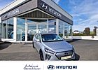 Hyundai Ioniq Elektro Facelift 100kw Prime