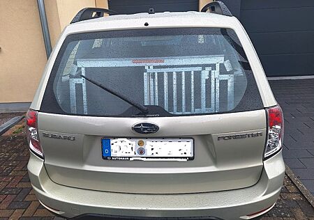 Subaru Forester 2.0X Active Automatik Active
