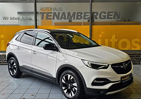 Opel Grandland X Ultimate Leder Kamera DAB AHK
