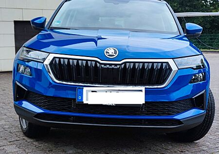 Skoda Karoq 15.000 km | EZ 04/24 | AHK | Selection