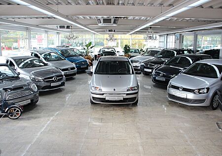 Fiat Punto gebraucht kaufen Fiat Punto 1.2 16V *Automatik*