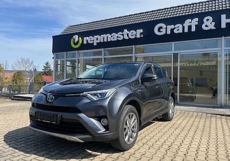 Toyota RAV 4 RAV4 Team D