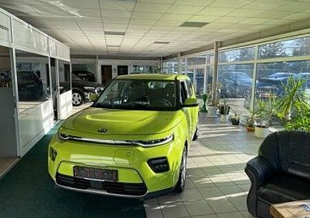 Kia Soul e- Autom. Edition 7 ACC Kamera LED-SW
