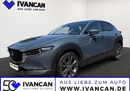 Mazda CX-30 X 2.0i 186PS AWD A/T SELECTION DES-P PRE-P
