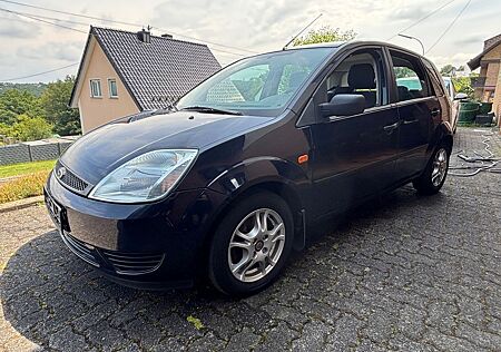Ford Fiesta 1.3 44 kW -