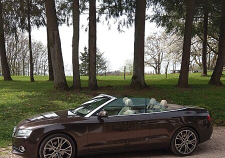 Audi A5 2.0 TFSI Cabriolet
