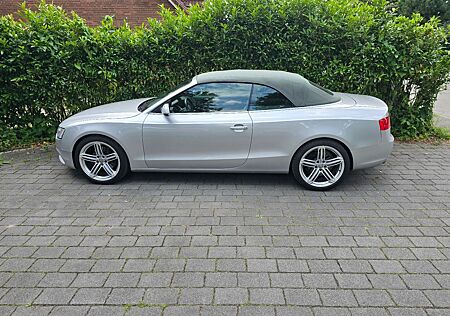 Audi A5 3.0 TDI S tronic quattro Cabriolet -