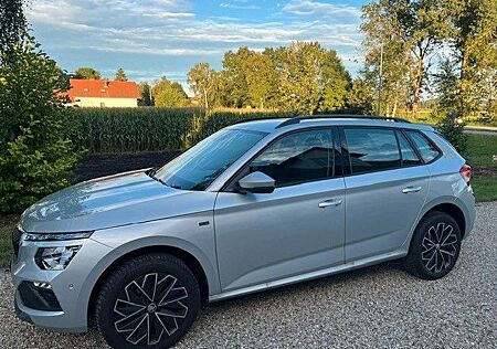 Skoda Kamiq Selection ACC Automatik 2500 Euro Belohnun