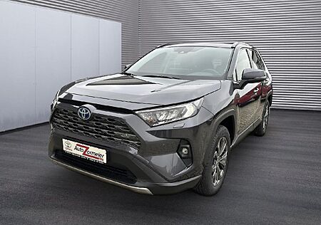 Toyota RAV 4 RAV4 Hybrid 4x4 Team Deutschland