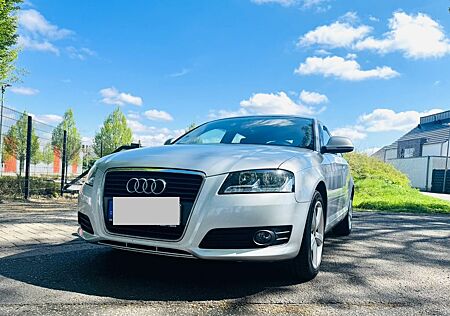 Audi A3 2.0 TDI (DPF) Ambiente Ambiente