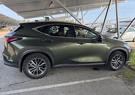 Lexus NX 350h *360° Kamera* Leder*Memory*MwSt*MY25