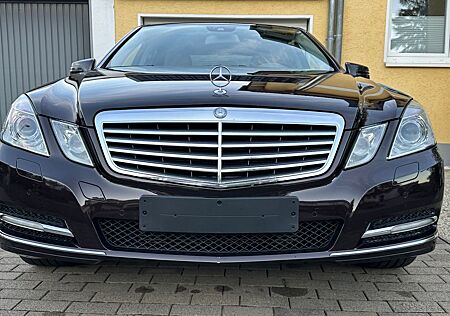 Mercedes-Benz E 200 CGI BlueEFFICIENCY ELEGANCE ELEGANCE