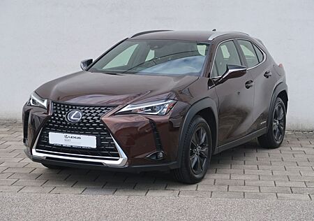 Lexus UX gebraucht kaufen Lexus UX 250h Launch Edition