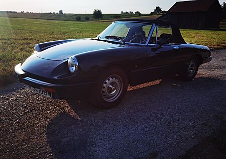 Alfa Romeo Spider