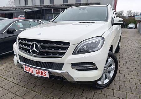 Mercedes-Benz ML 250 ML 250 CDI BlueTec/Ahk.