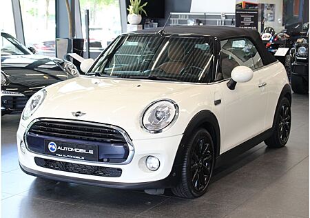 Mini Cooper Cabrio Chili Automatik 1. Hand*LED*PDC