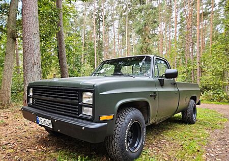 Chevrolet Silverado C10 *V8*Chevy*Motor NEU*PickUp*