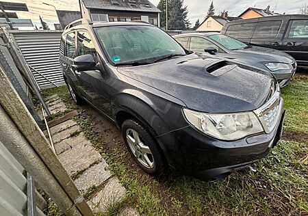 Subaru Forester 2,0D Euro 5 Panorama