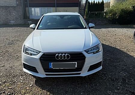Audi A4 2.0 TDI *MatrixLED* *Scheckheftgepflegt*