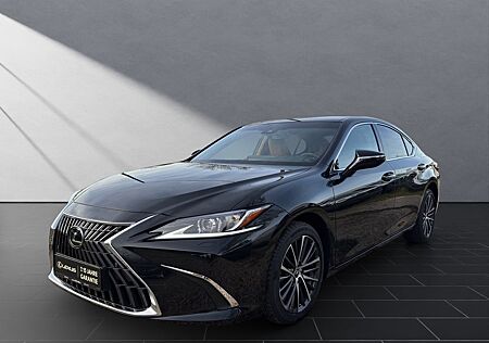 Lexus ES 300 h*BUSINESS*SOFORT*SCHIEBEDACH*