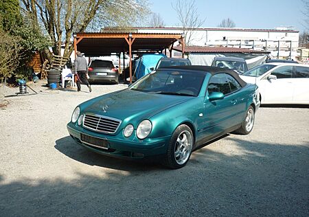 Mercedes-Benz CLK 230 AVANTGARDE* Leder* Xenon*TOP
