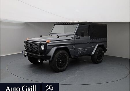 Mercedes-Benz G 250 G 250GD Wolf +