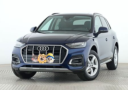 Audi Q5 40 TDI S tronic quattro advanced 360 Pano