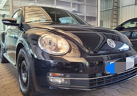 VW New Beetle Volkswagen