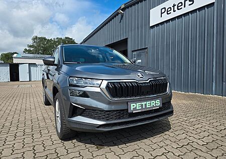 Skoda Karoq Selection Tempomat PDC Navi Rückfahrkamera