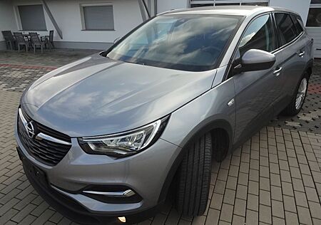 Opel Grandland X Grandland (X) 1.2 Turbo Busin.Edit. Euro 6d-temp