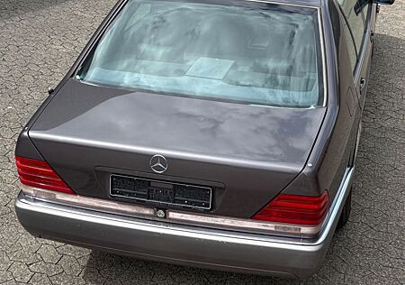 Mercedes-Benz S 320 W140 300 SEL 3.2 S320 Leder Sitzhe