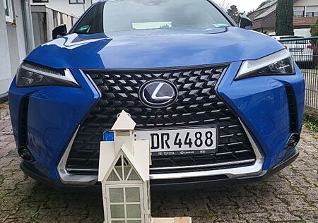 Lexus UX 250h E-FOUR Luxury Line Luxury Line