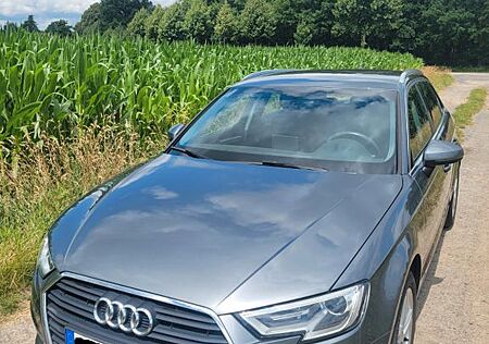 Audi A3 30 TFSI Sportback *Navi* *unfallfrei*