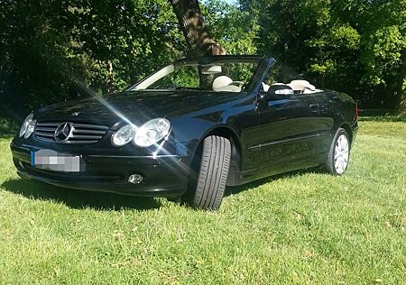 Mercedes-Benz CLK 500 ELEGANCE Elegance Voll