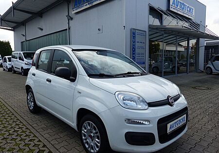 Fiat Panda gebraucht kaufen Fiat Panda Easy 1.2 KLIMA/1.Hand/Servo/Allwetterreif.