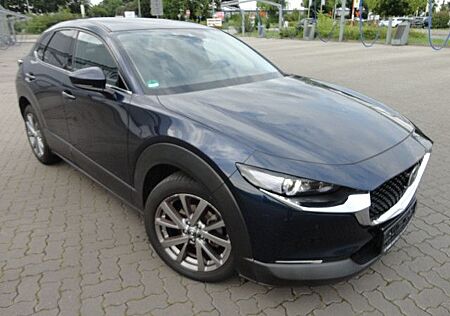 Mazda CX-3 CX-30 Selection AWD,Navi,LED,Kamera