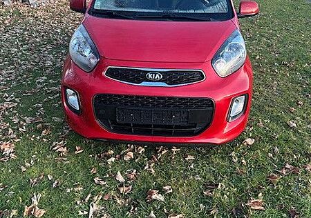Kia Picanto 1.2 Spirit Navi Tagfahrlicht